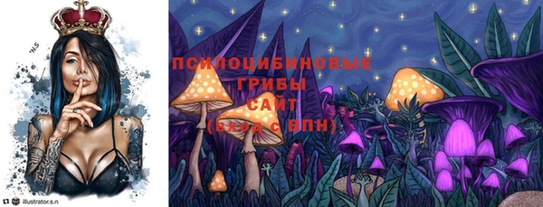 дурь Лиски