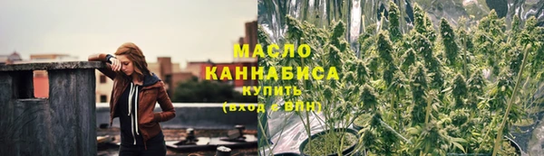 сатива Магадан