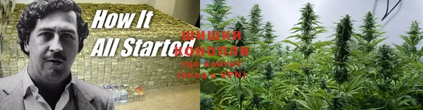 spice Майский