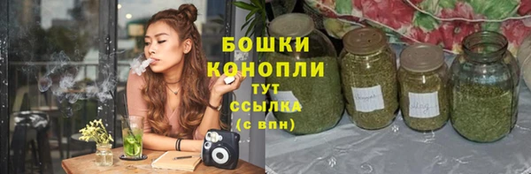 сатива Магадан