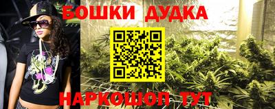 гидропоника Кингисепп